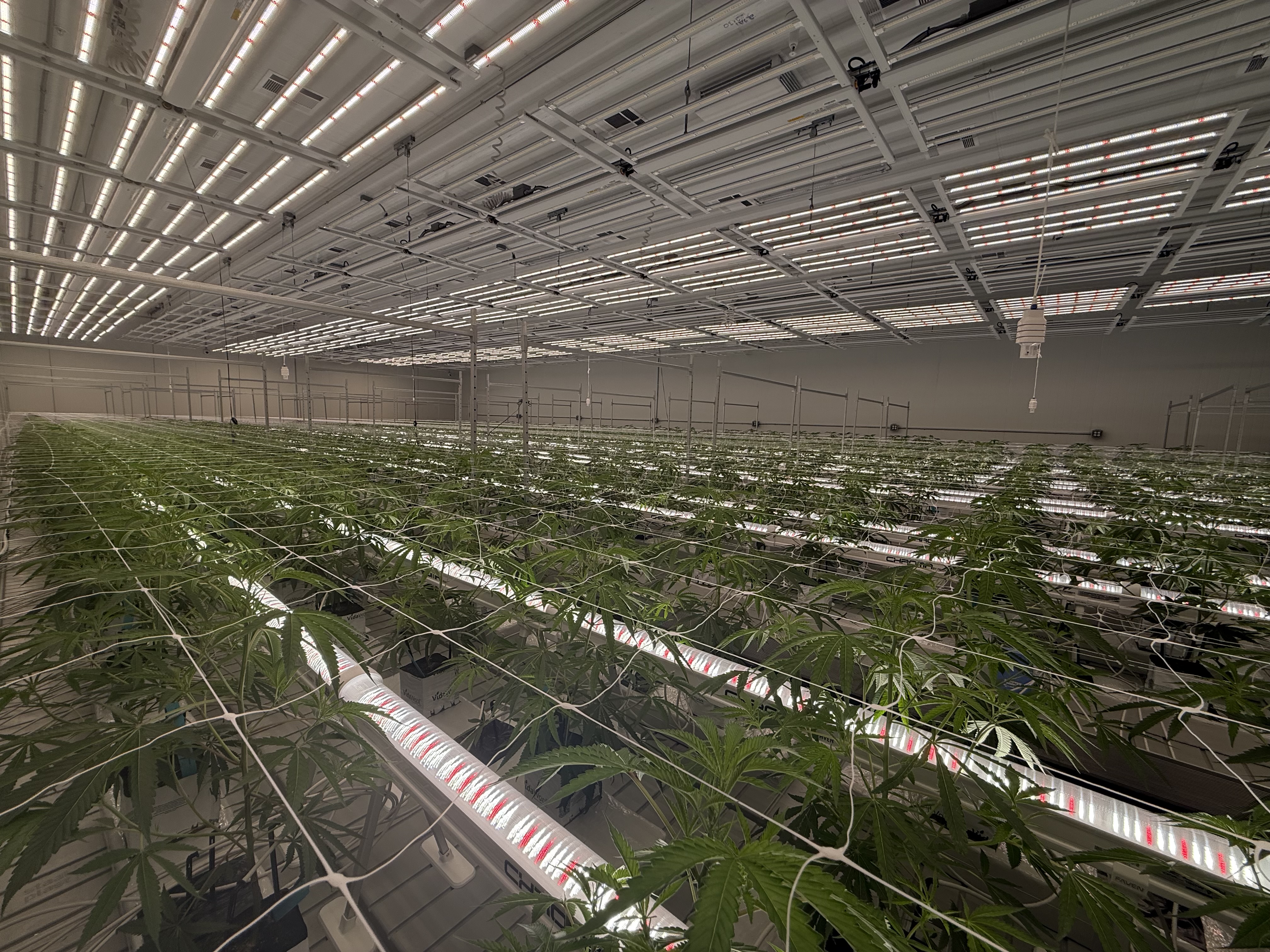 Vertical close-up of LED bars.